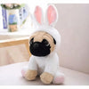 Peluche chien déguisé en lapin