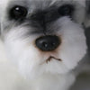Peluches en forme de chien