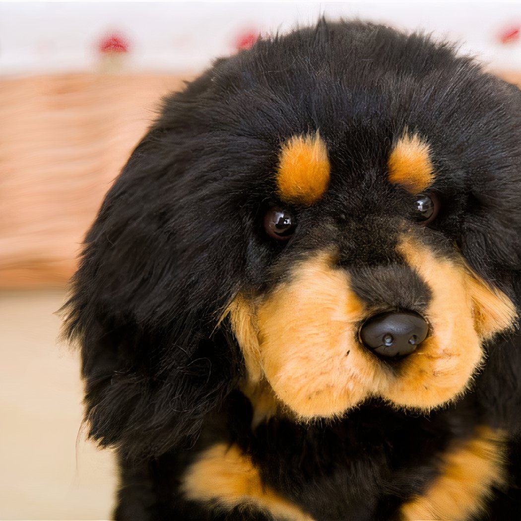 Peluches en forme de chien