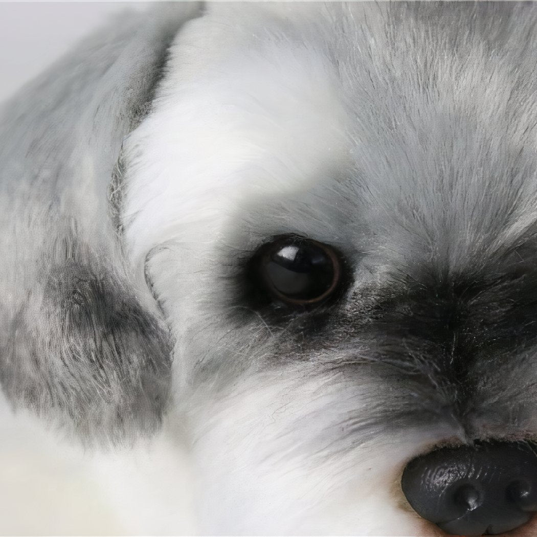 Peluches en forme de chien