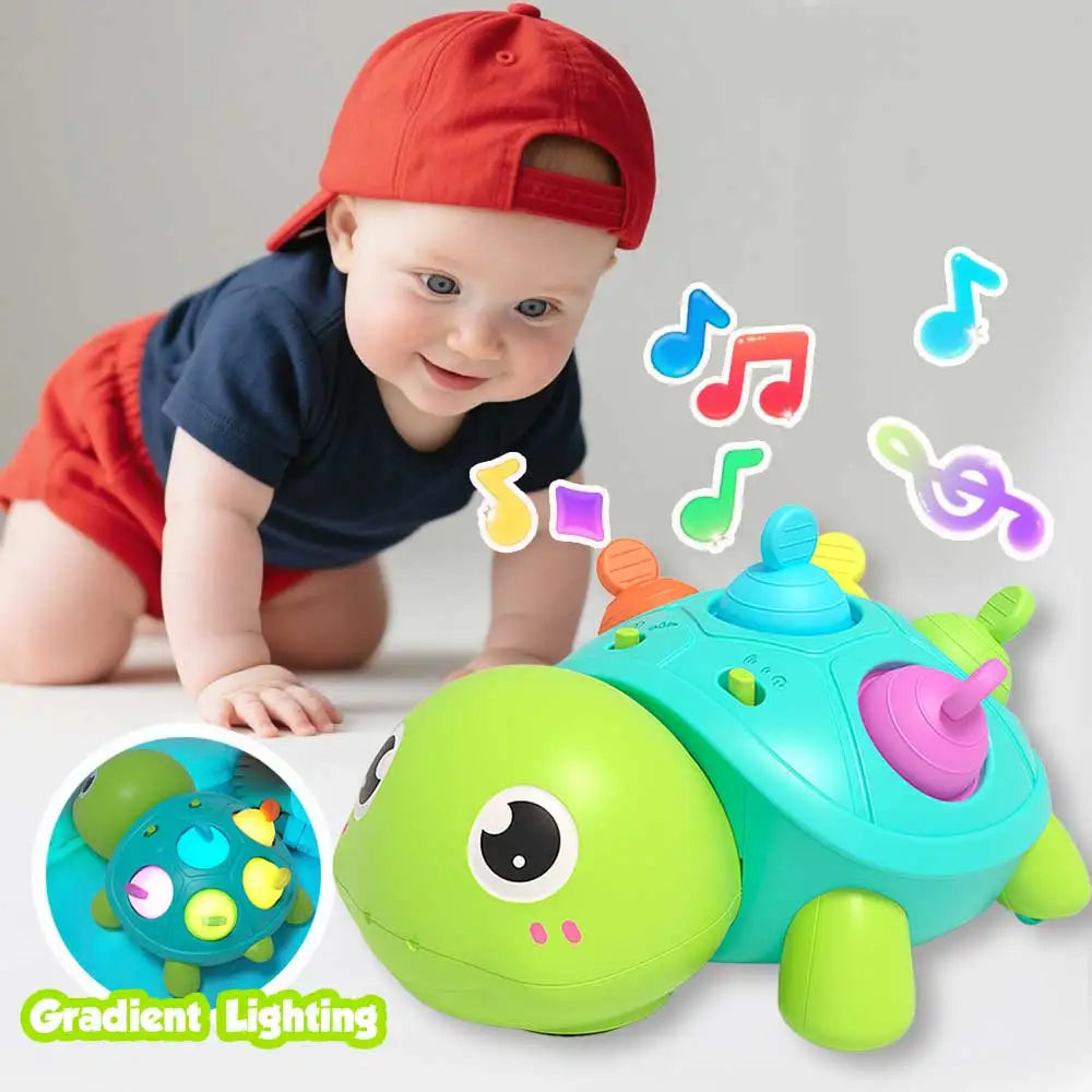 Jouet musical tortue rampante