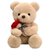 Peluche de St-Valentin nounours avec sa rose